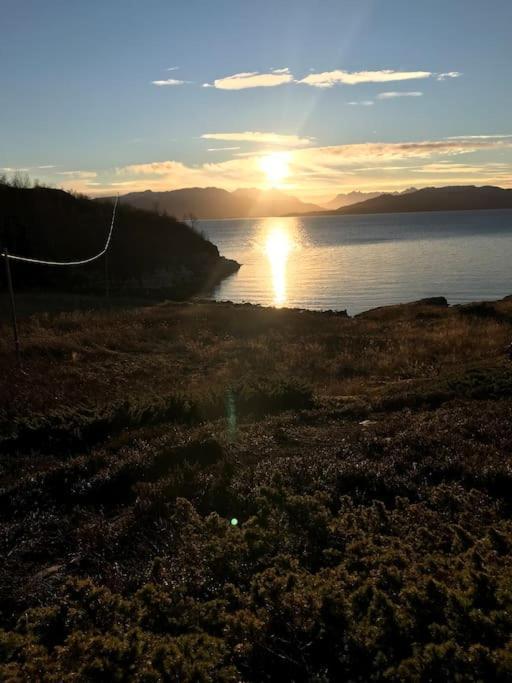 Trivelig Fritidshus Pa Arnes, Senja Straumstad Exterior photo